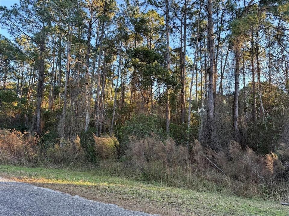 На продажу: $49,000 (1.00 acres)