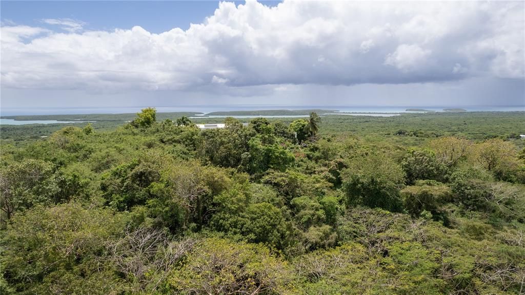 На продажу: $250,000 (3.40 acres)