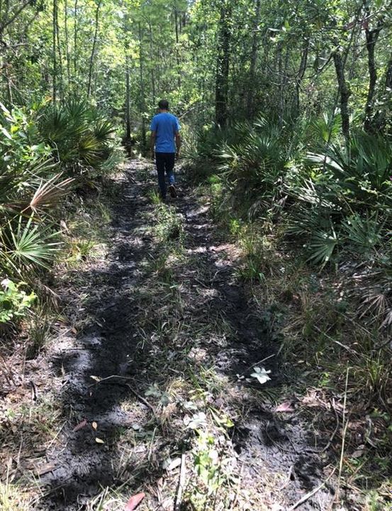 待售: $158,000 (18.30 acres)
