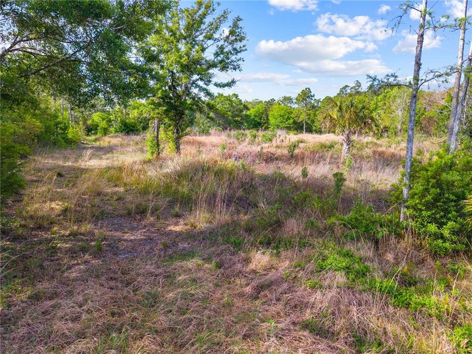 На продажу: $109,900 (1.85 acres)