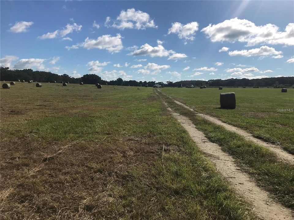 На продажу: $300,000 (10.25 acres)