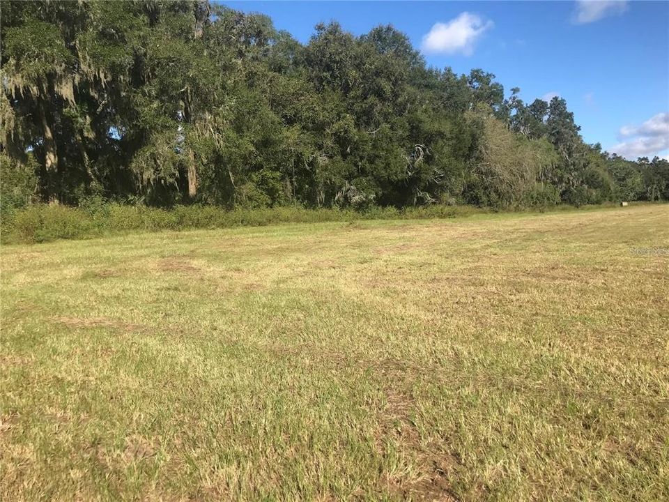 На продажу: $300,000 (10.25 acres)