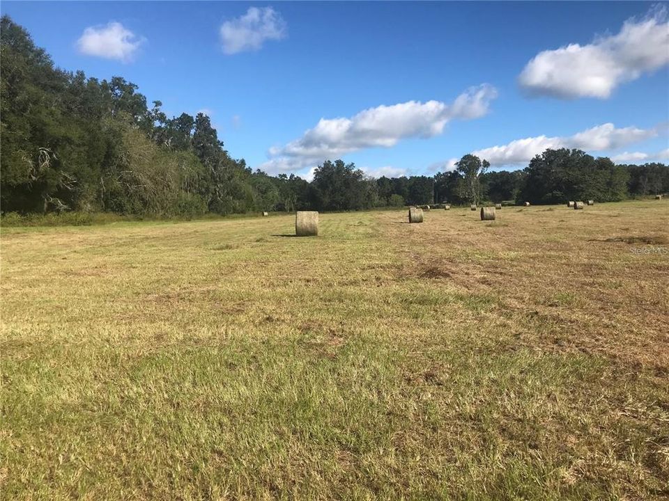 На продажу: $300,000 (10.25 acres)