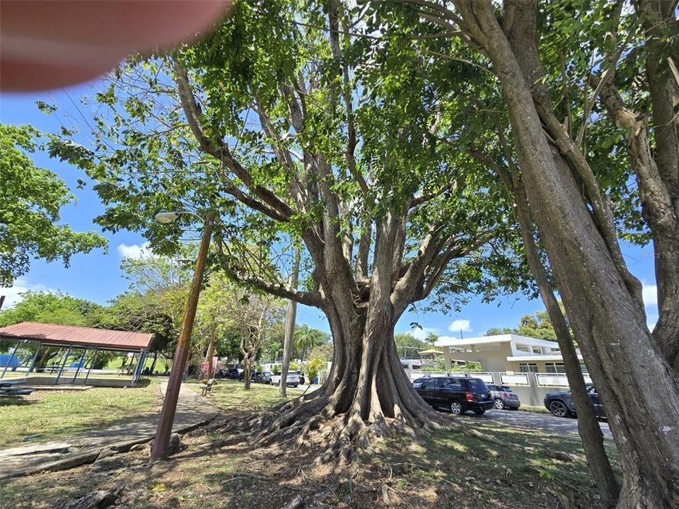 Activo con contrato: $397,000 (4 camas, 2 baños, 2211 Pies cuadrados)