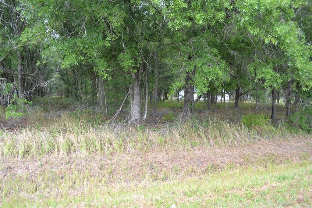 На продажу: $100,000 (2.28 acres)
