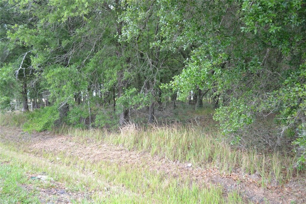 На продажу: $100,000 (2.28 acres)