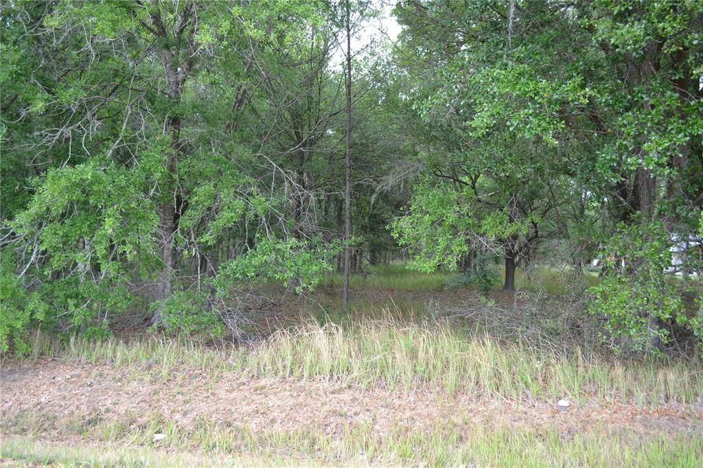 На продажу: $100,000 (2.28 acres)