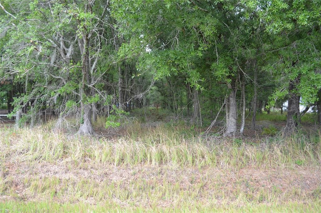 На продажу: $100,000 (2.28 acres)