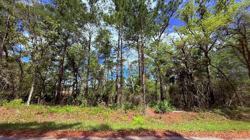 На продажу: $24,999 (0.27 acres)