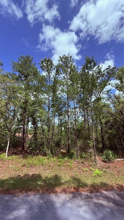 На продажу: $24,999 (0.27 acres)