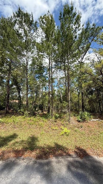 На продажу: $24,999 (0.27 acres)
