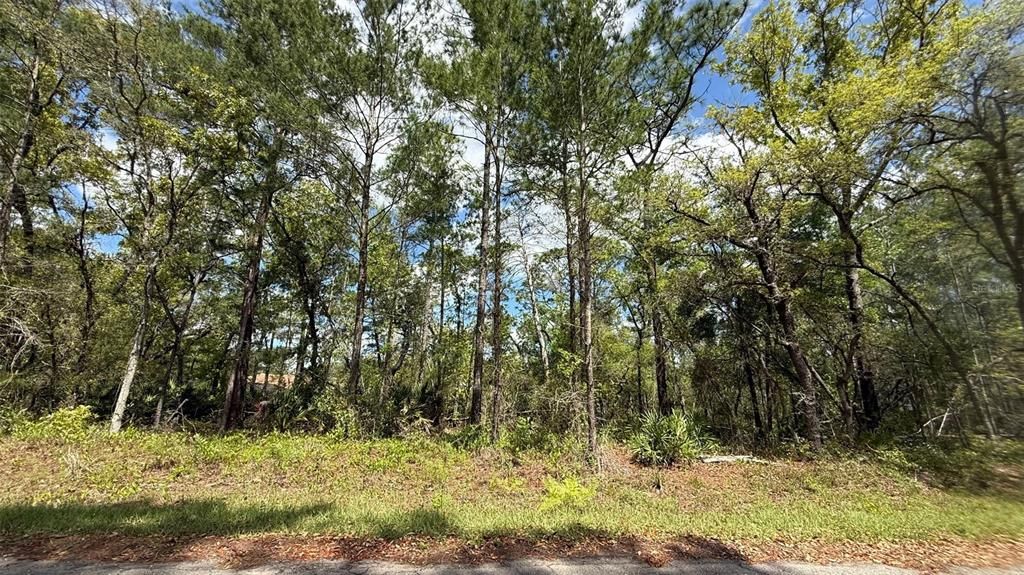 На продажу: $24,999 (0.27 acres)