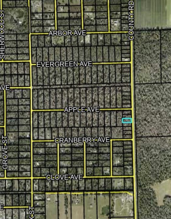 En Venta: $19,500 (0.51 acres)