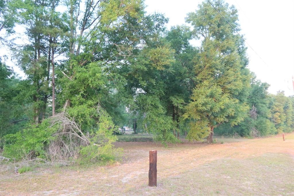 For Sale: $244,900 (3 beds, 2 baths, 1216 Square Feet)