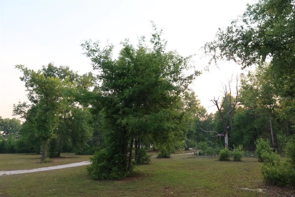For Sale: $244,900 (3 beds, 2 baths, 1216 Square Feet)