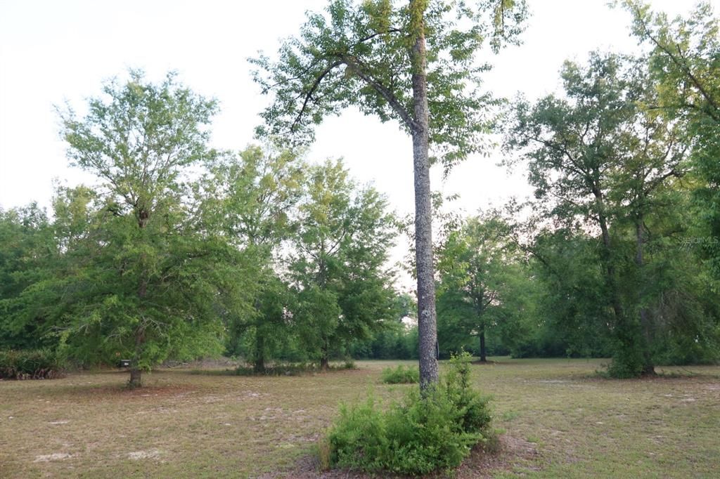 For Sale: $244,900 (3 beds, 2 baths, 1216 Square Feet)