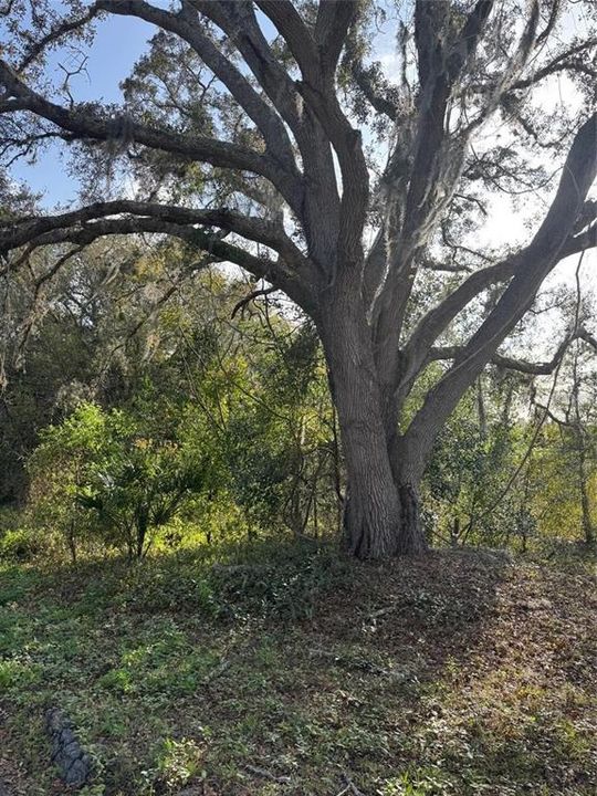 На продажу: $440,800 (7.65 acres)