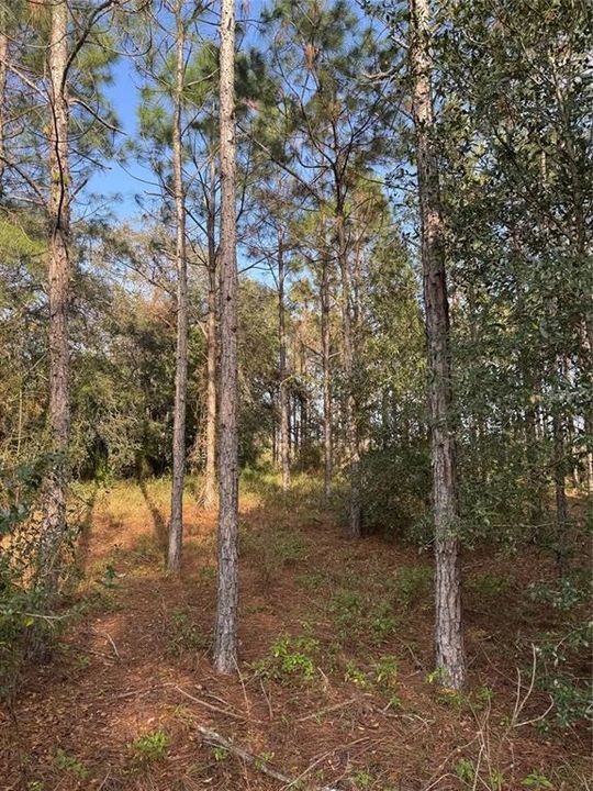 На продажу: $440,800 (7.65 acres)