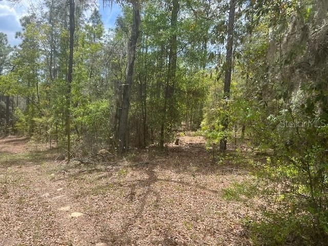 En Venta: $84,900 (2.15 acres)