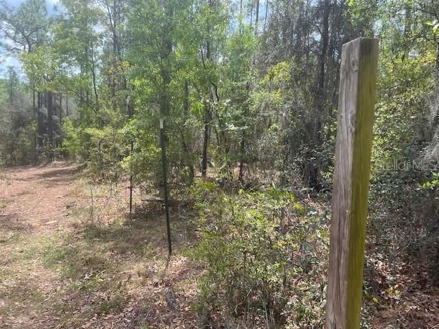 En Venta: $84,900 (2.15 acres)