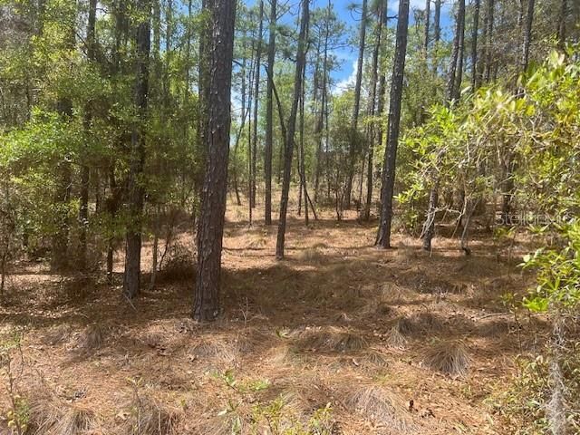 En Venta: $84,900 (2.15 acres)