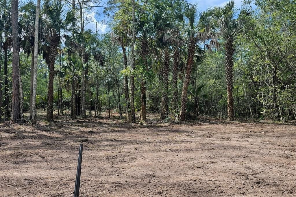 En Venta: $62,700 (1.14 acres)