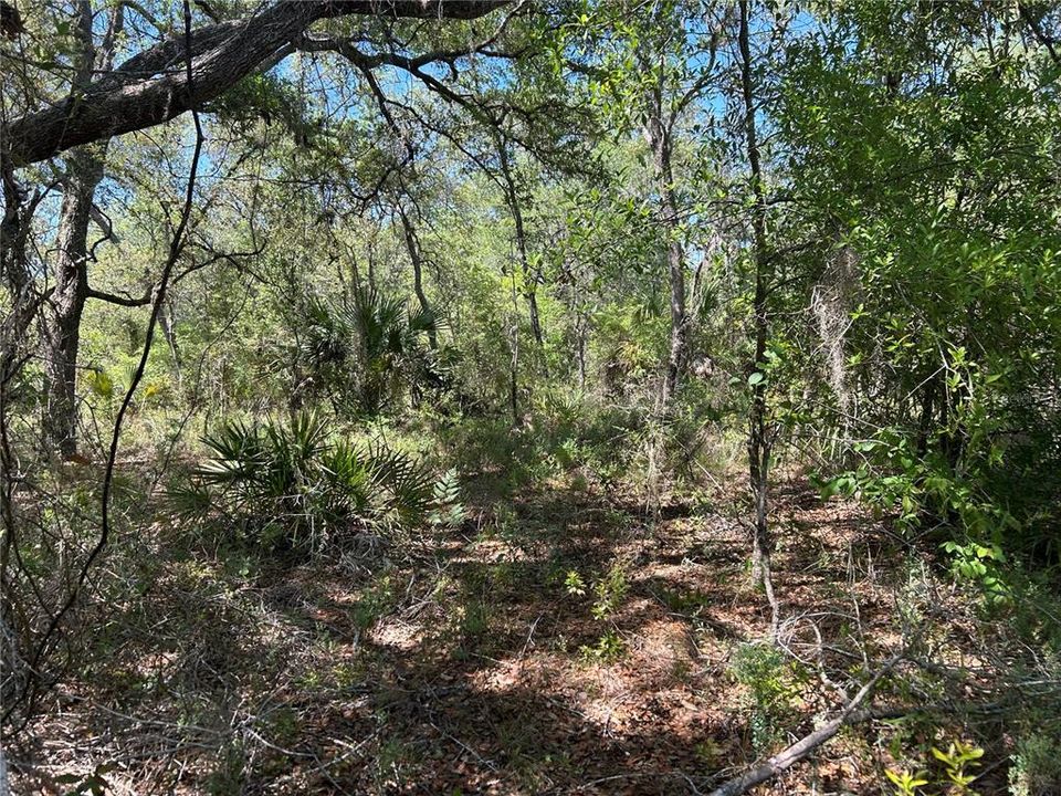 For Sale: $29,900 (1.25 acres)