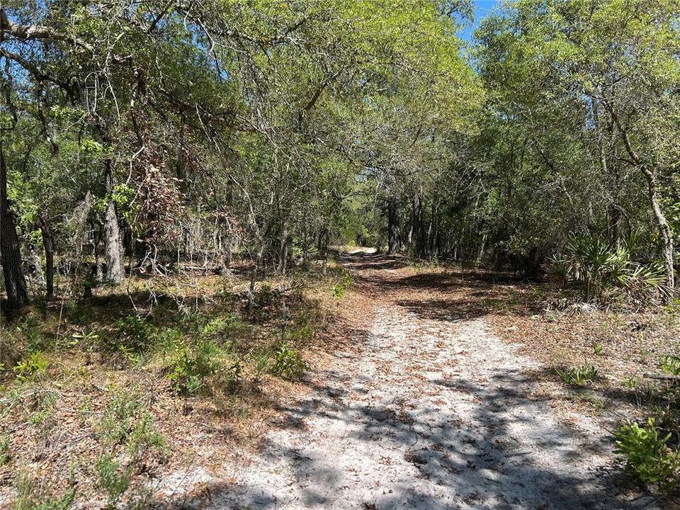 For Sale: $29,900 (1.25 acres)