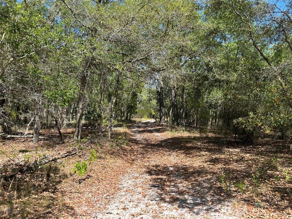 For Sale: $29,900 (1.25 acres)