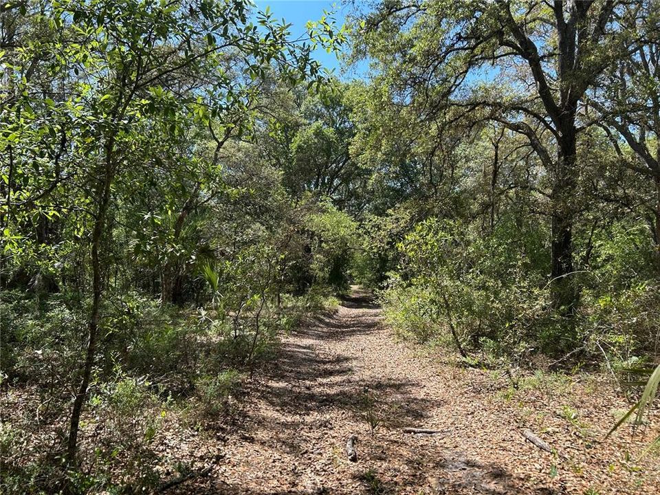 For Sale: $29,900 (1.25 acres)