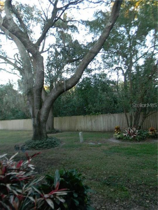Active With Contract: $1,700 (2 beds, 1 baths, 1242 Square Feet)