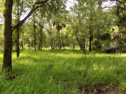 En Venta: $799,000 (10.47 acres)