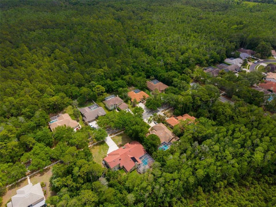 На продажу: $1,225,000 (4 спален, 3 ванн, 4312 Квадратных фут)