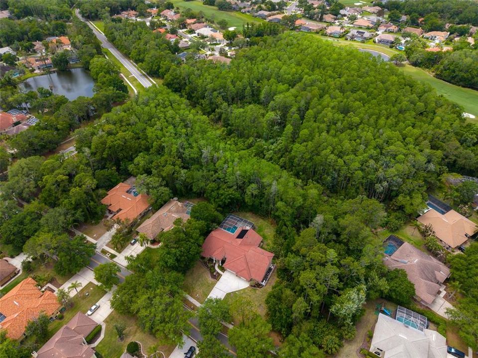 На продажу: $1,225,000 (4 спален, 3 ванн, 4312 Квадратных фут)
