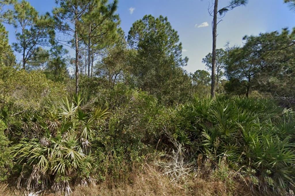 For Sale: $75,000 (0.23 acres)