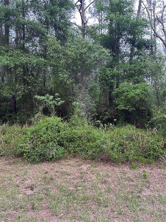 En Venta: $26,000 (0.23 acres)