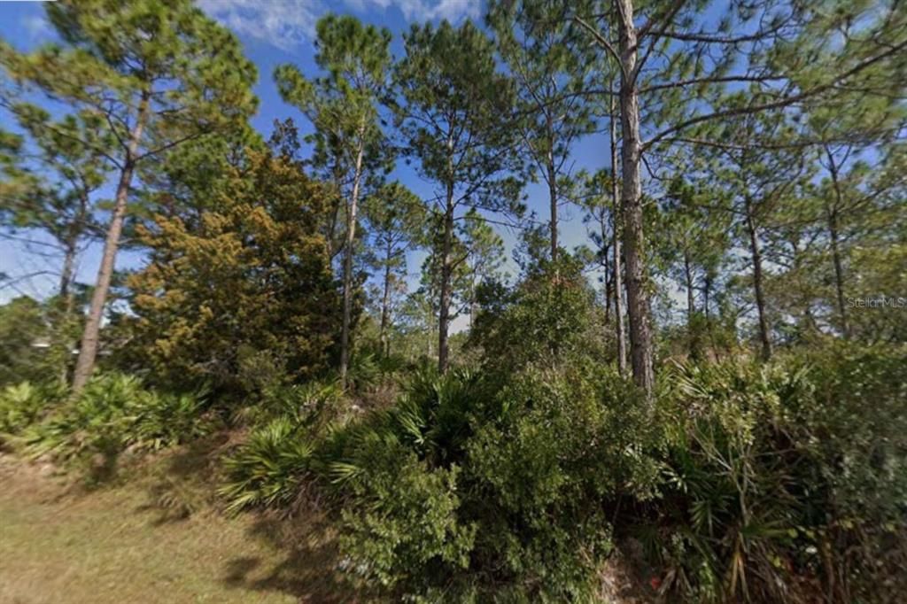 For Sale: $75,000 (0.23 acres)