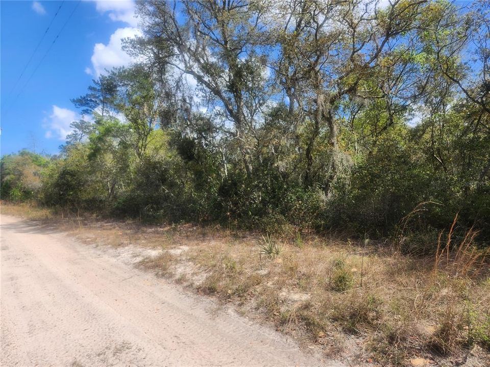 En Venta: $9,900 (0.10 acres)