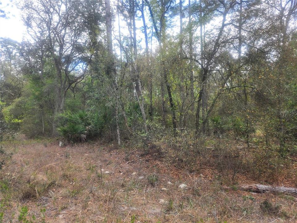 For Sale: $74,900 (1.25 acres)
