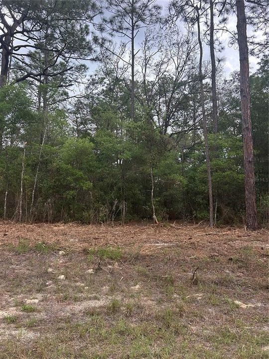 待售: $25,000 (0.23 acres)