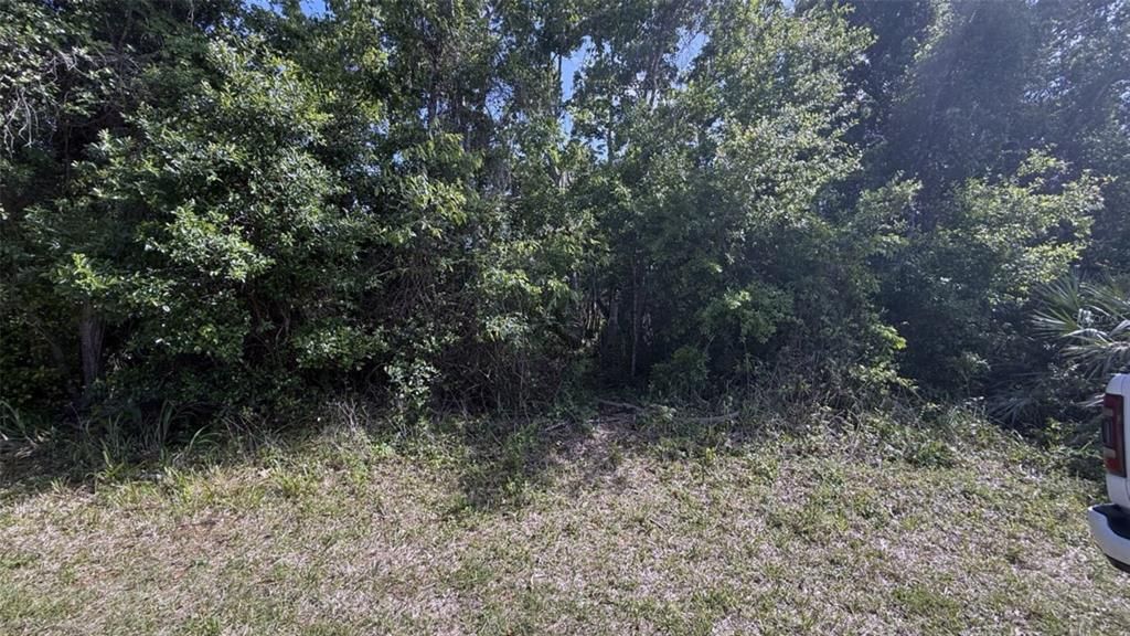 待售: $79,000 (0.88 acres)