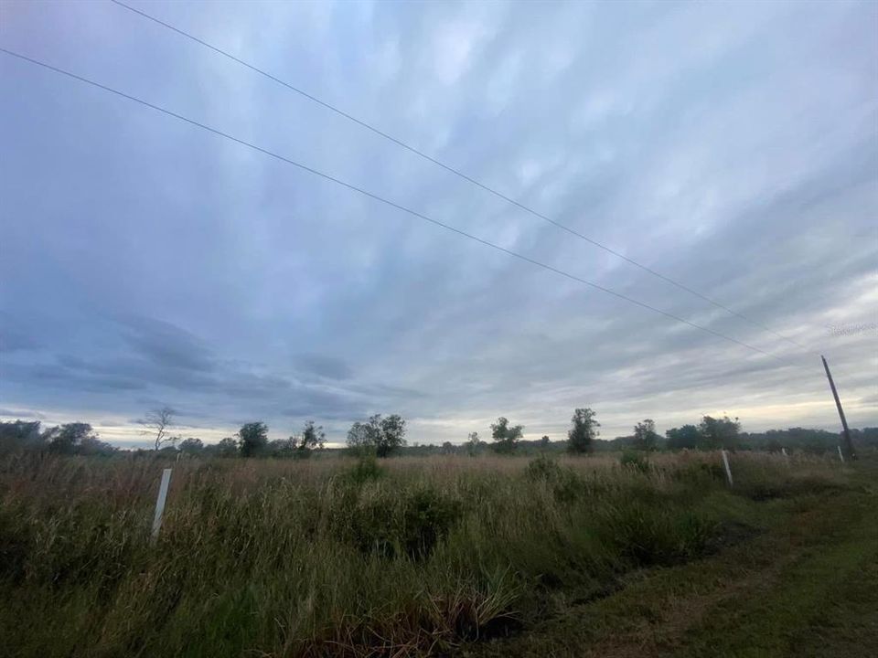 待售: $25,000 (1.25 acres)