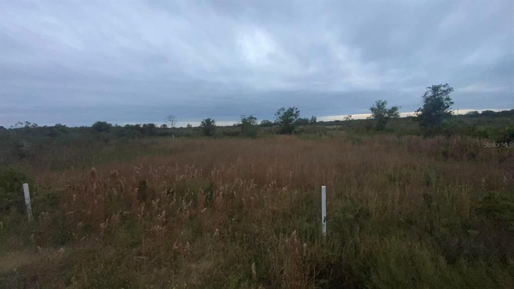 待售: $25,000 (1.25 acres)