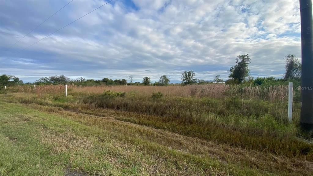待售: $25,000 (1.25 acres)