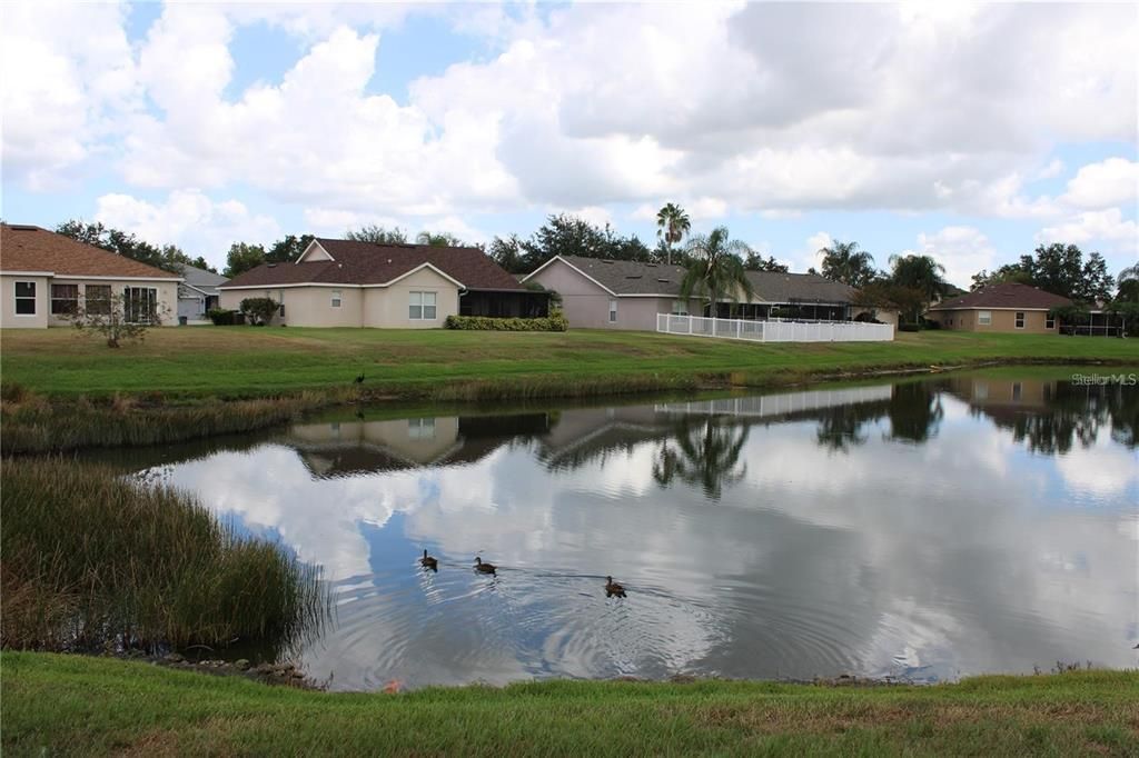 For Rent: $2,849 (3 beds, 2 baths, 2408 Square Feet)