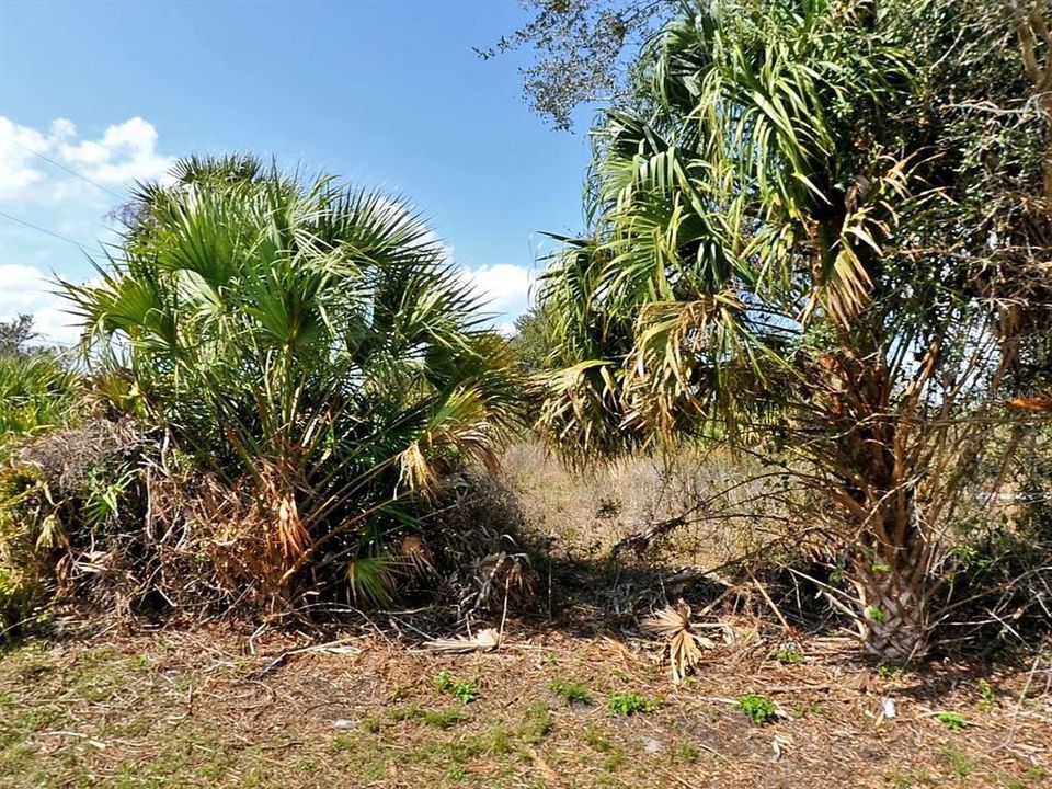 Active With Contract: $18,900 (0.32 acres)