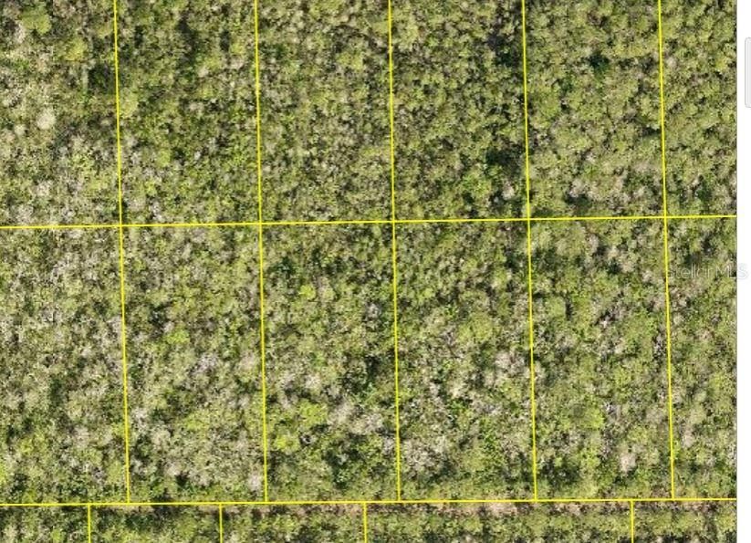 En Venta: $27,000 (1.25 acres)