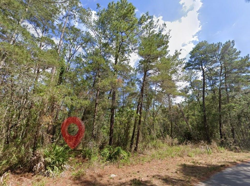 For Sale: $24,000 (0.28 acres)