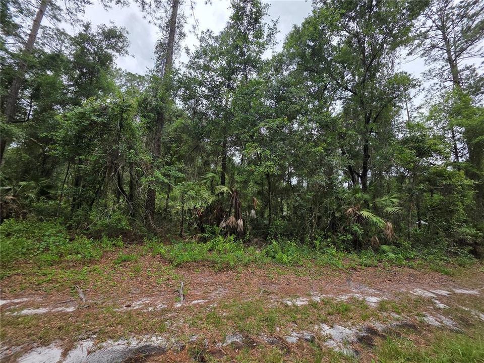 待售: $7,500 (0.21 acres)