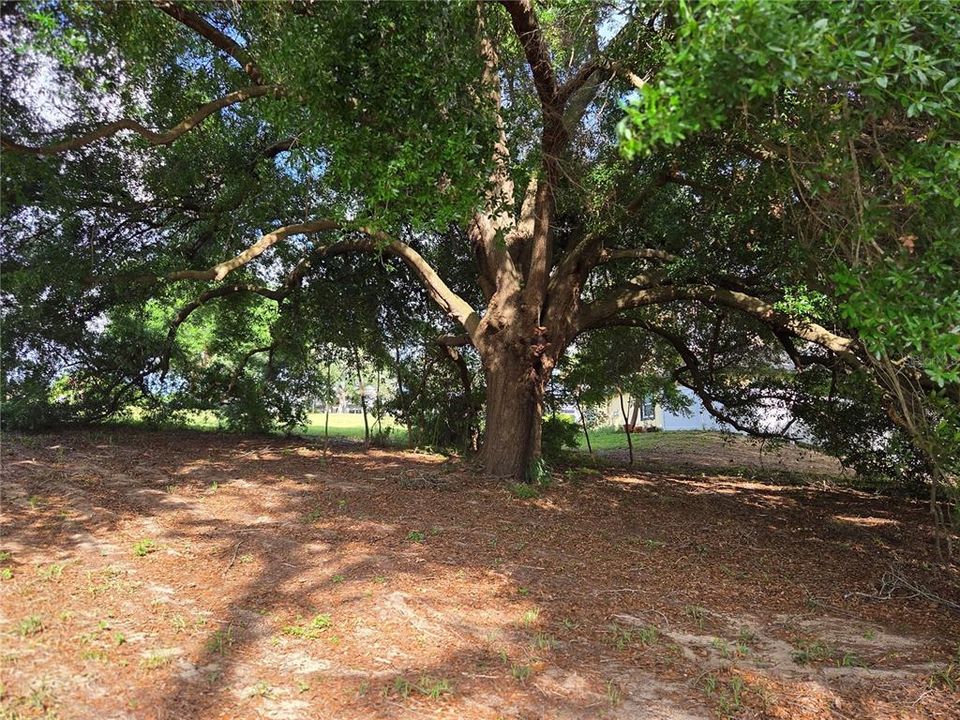 待售: $185,000 (0.78 acres)